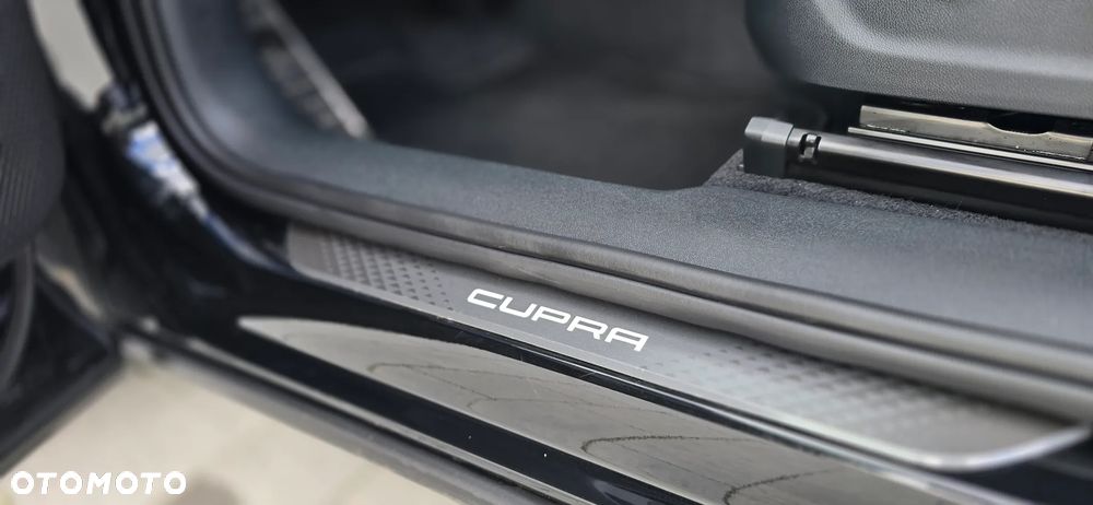 Cupra Terramar 2.0 TSI 4Drive VZ Tribe Edition DSG - 21