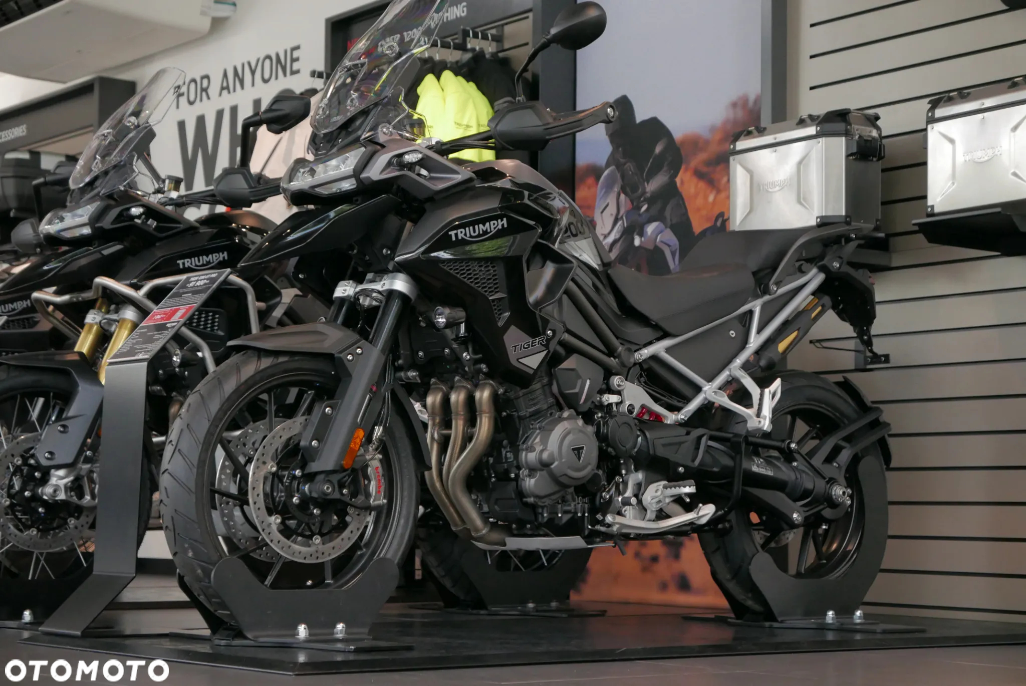 Triumph Tiger - 3