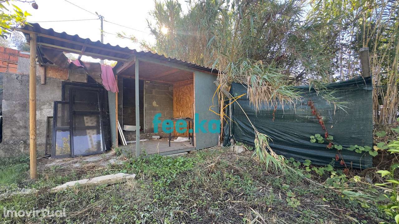 Quintinha T1 em Palvarinho - Grande imagem: 4/24