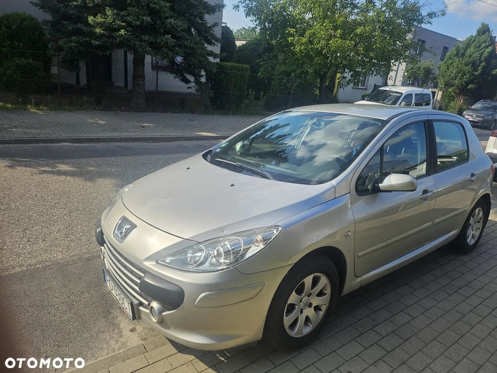 Peugeot 307 1.6 - 6