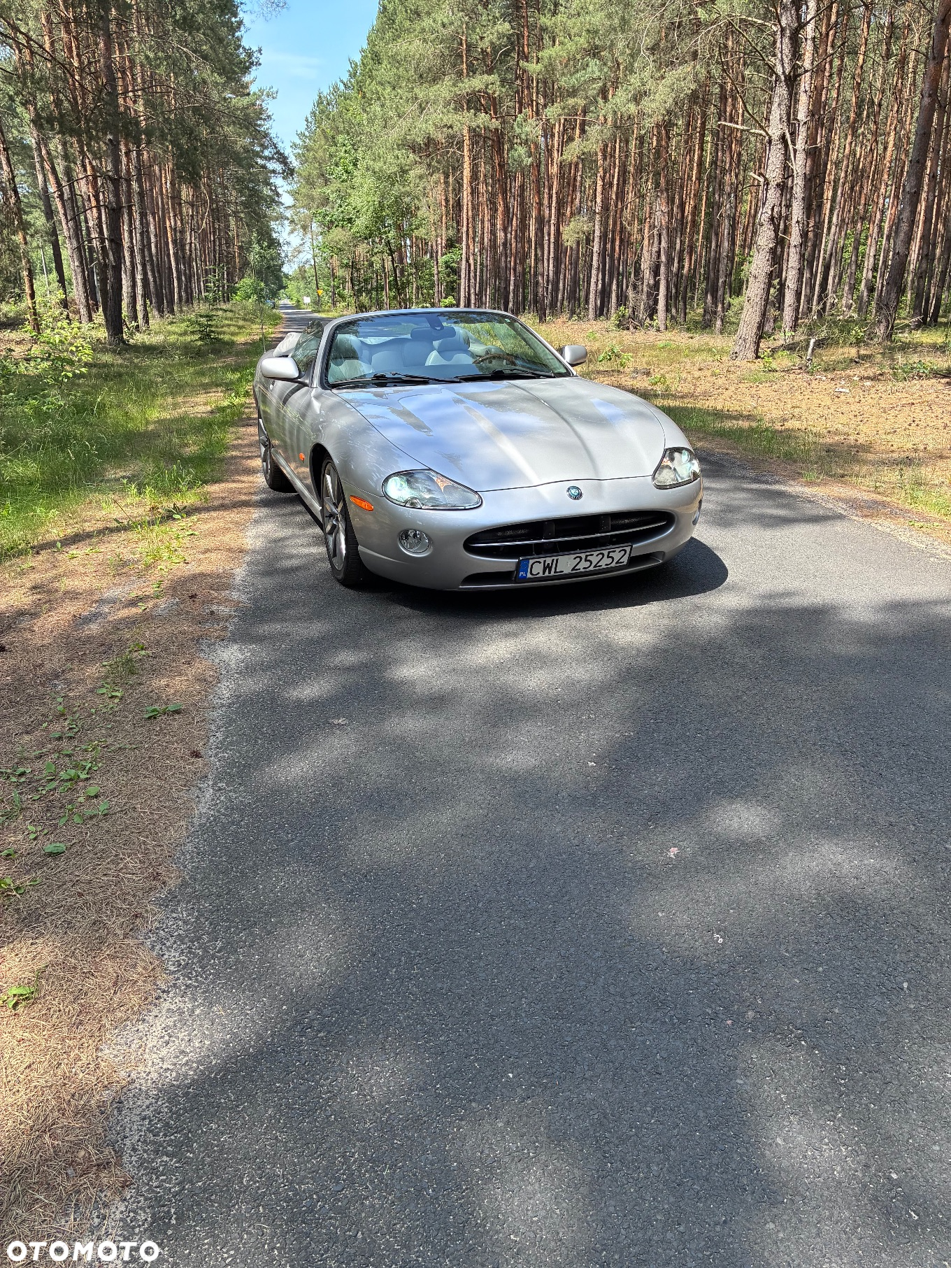 Jaguar XK8 Cabriolet - 29