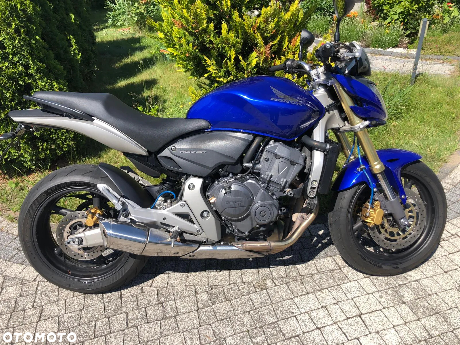 Honda Hornet - 15