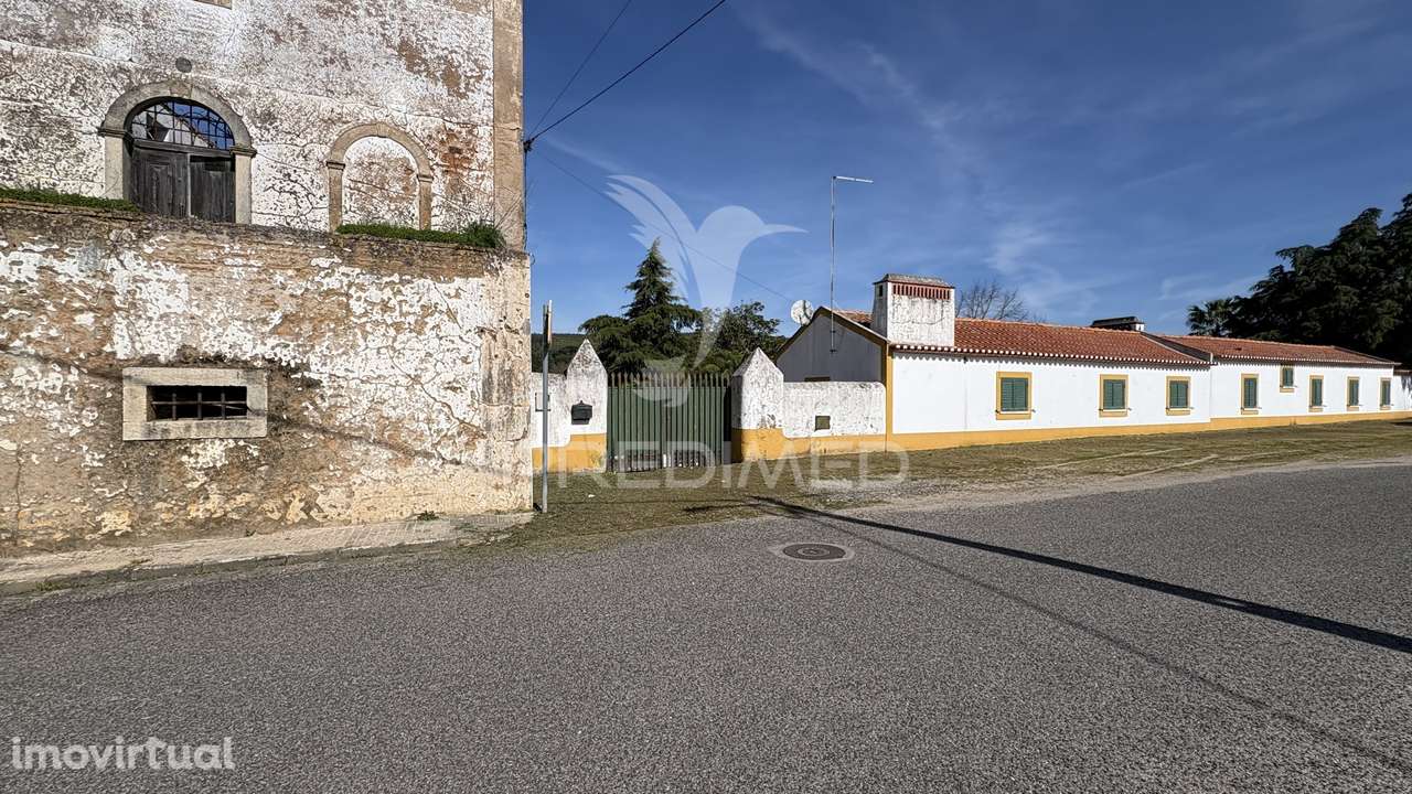 Quinta Rústica para Venda em Montalvo – 12 Hectares de Oportunidade - Grande imagem: 2/24