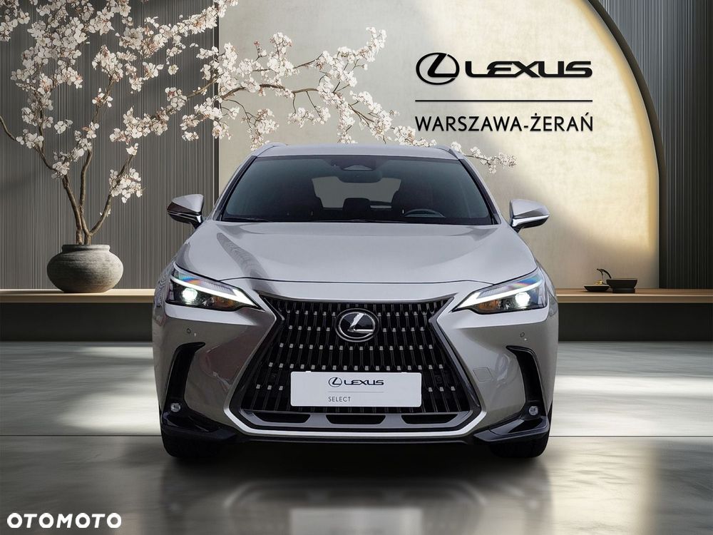 Lexus NX - 10