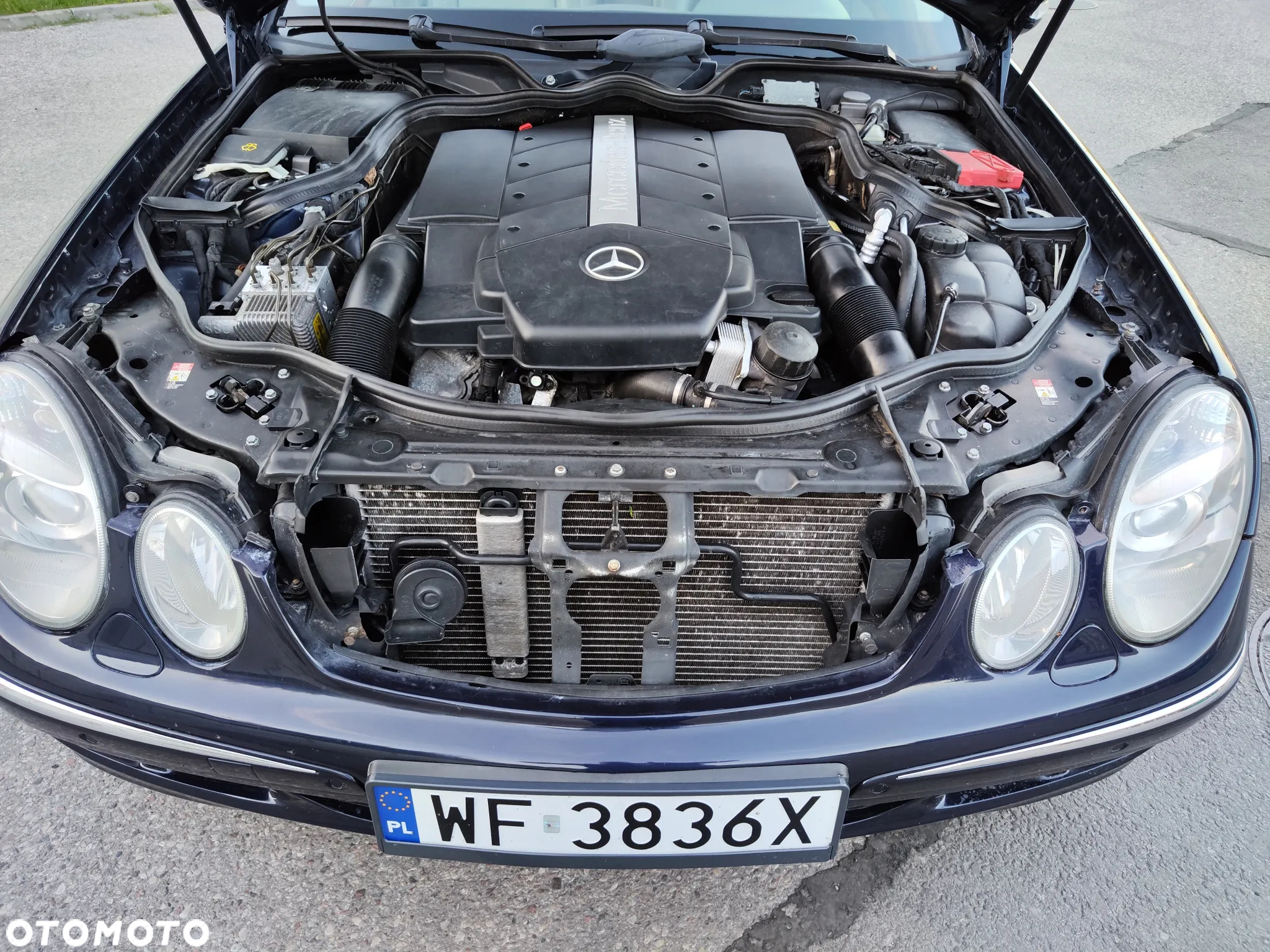 Mercedes-Benz Klasa E 500 7G-TRONIC Elegance - 21