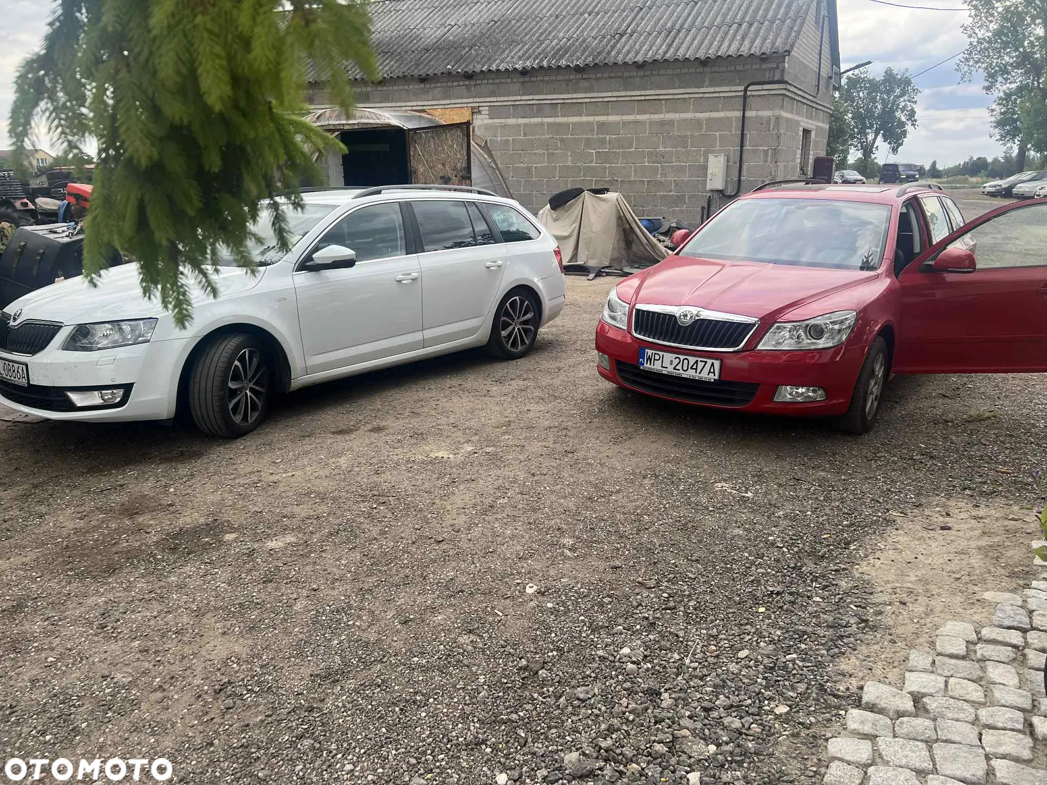 Skoda Octavia - 20