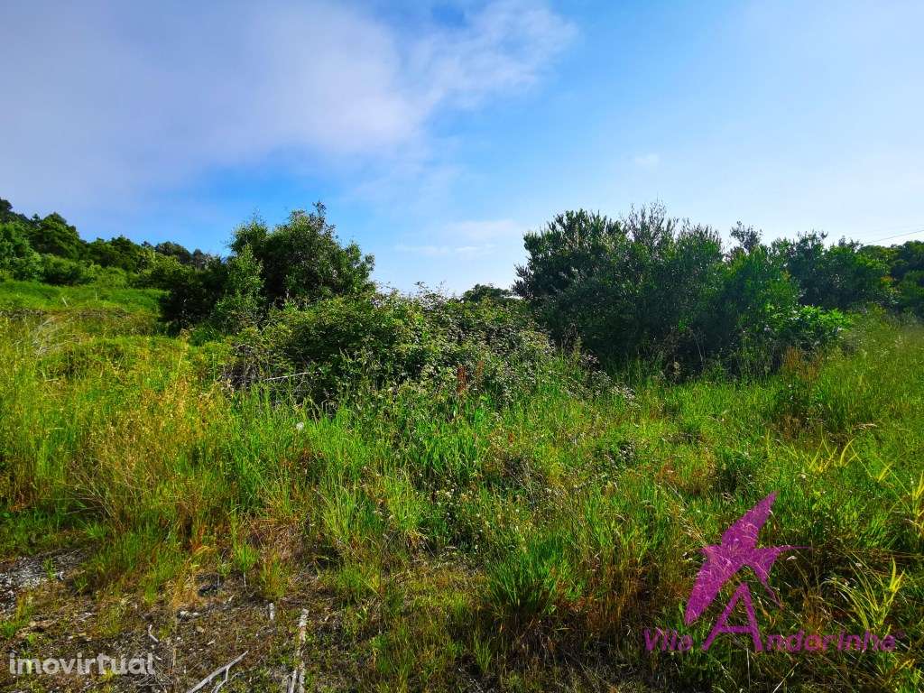 Terreno com 9670 m2 em Moledo - Grande imagem: 4/6