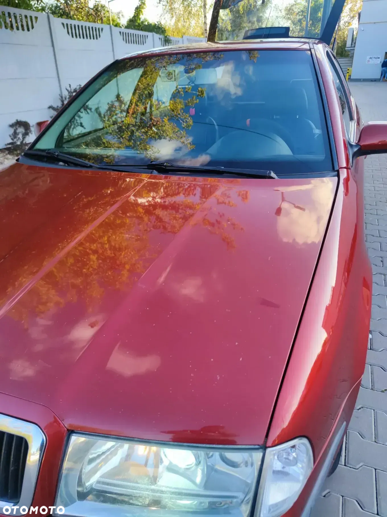 Skoda Octavia 1.9 TDI Elegance - 17