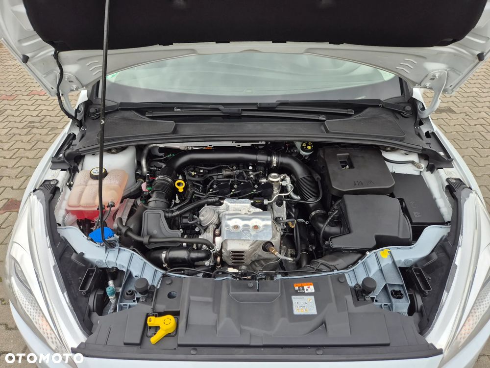 Ford Focus - 40