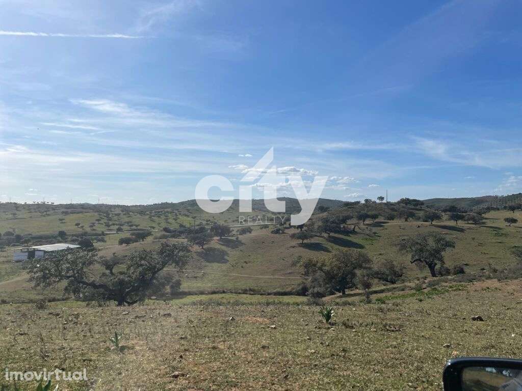 Herdade de Monte Branco, Figueira e Malhada Velha - Grande imagem: 5/41