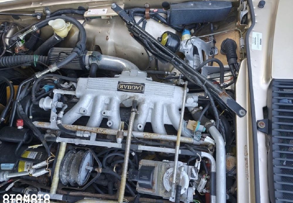 Jaguar XJS - 35