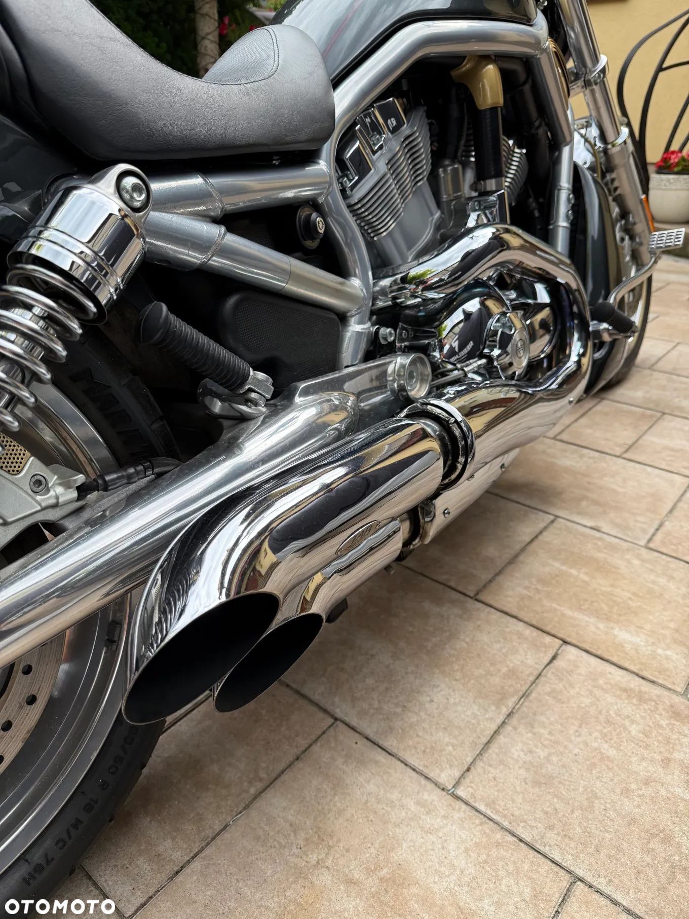 Harley-Davidson Softail V-Rod - 11