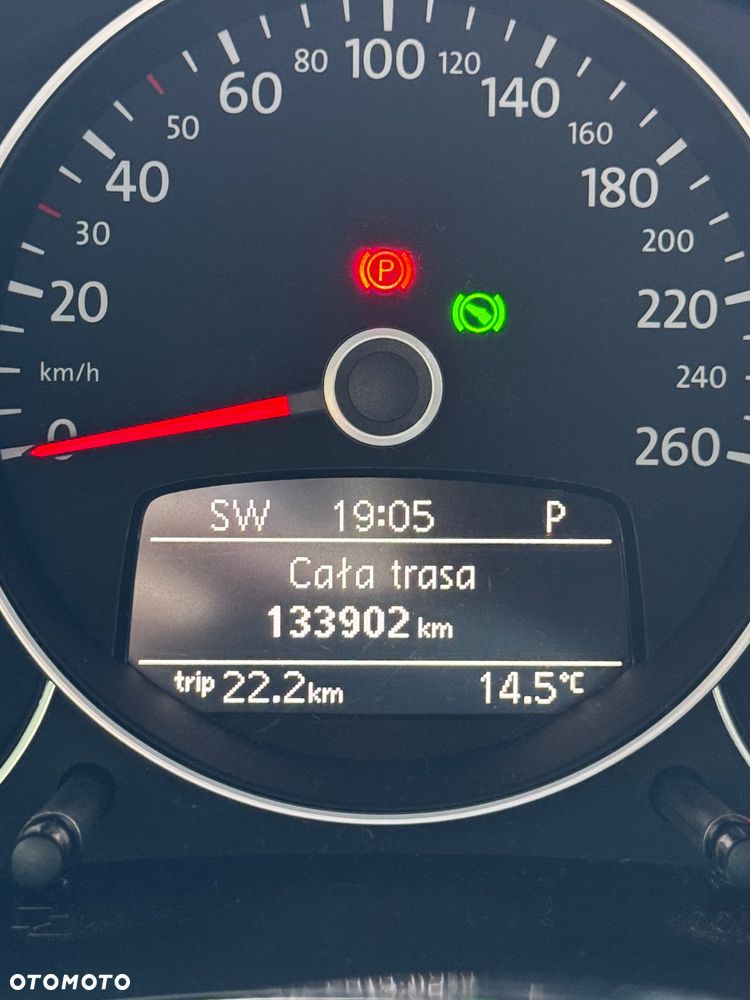 Volkswagen Beetle - 16