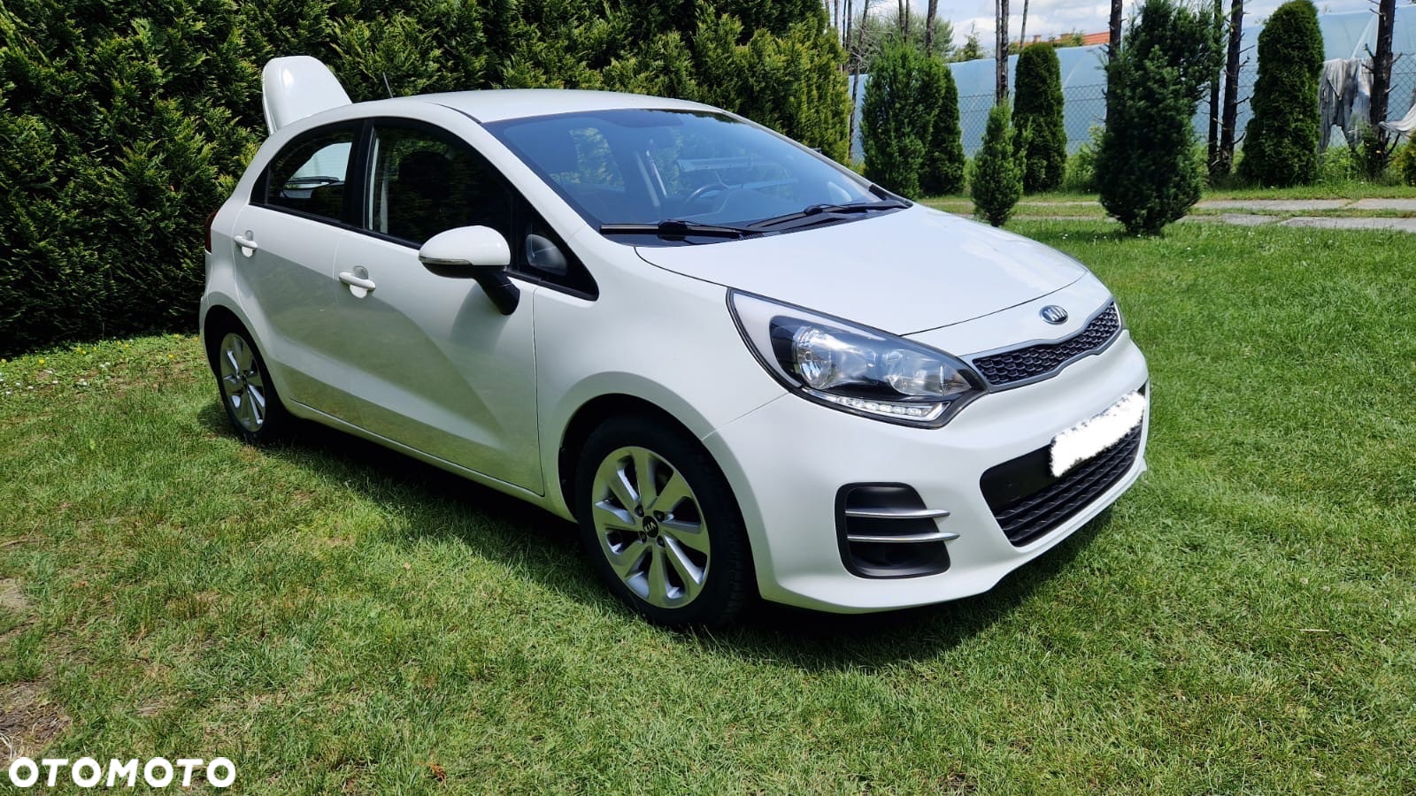 Kia Rio 1.4 Dream Team Edition - 3