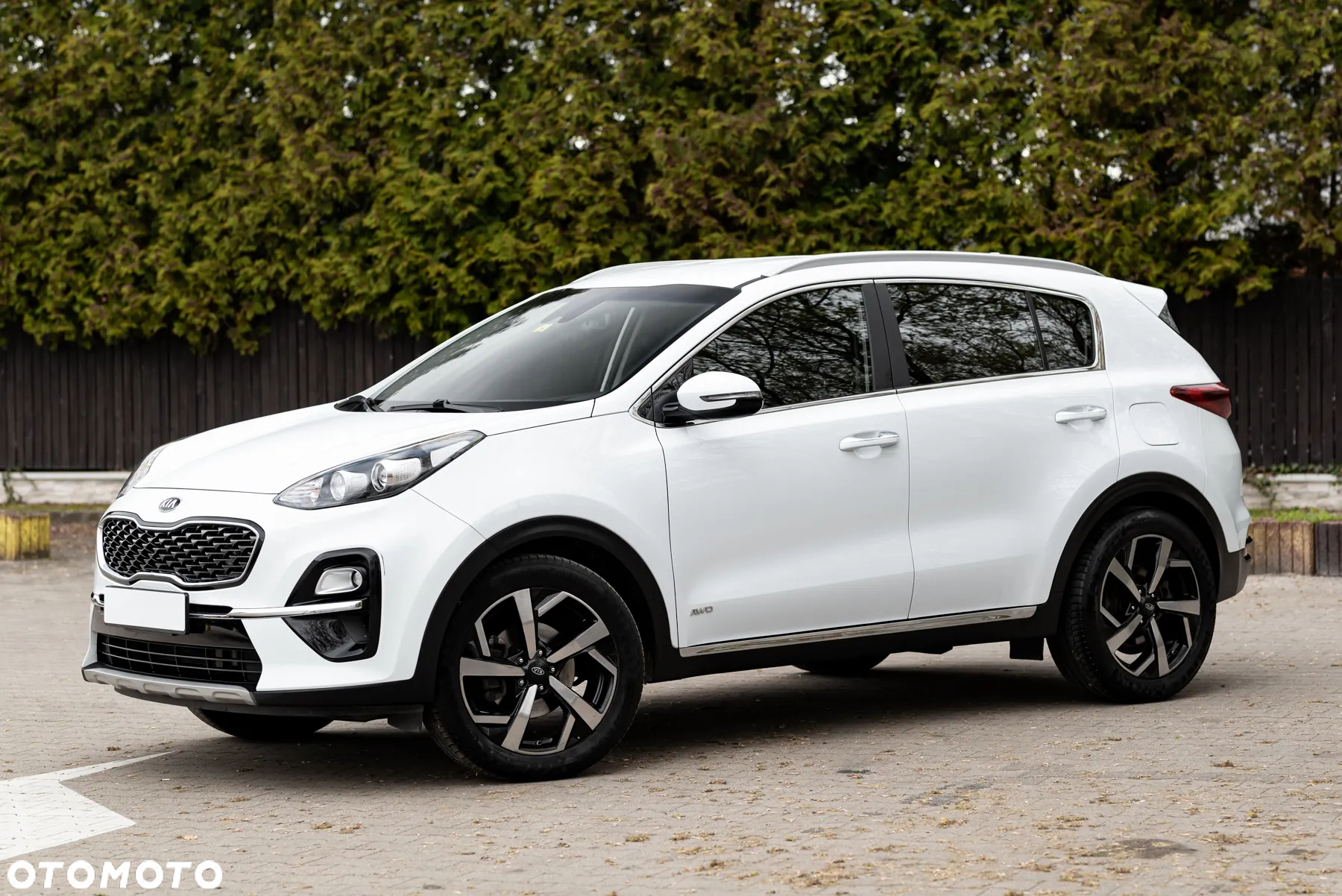Kia Sportage 1.6 CRDI AWD Eco-Dynamics+ (48V M-H) DCT Vision - 3