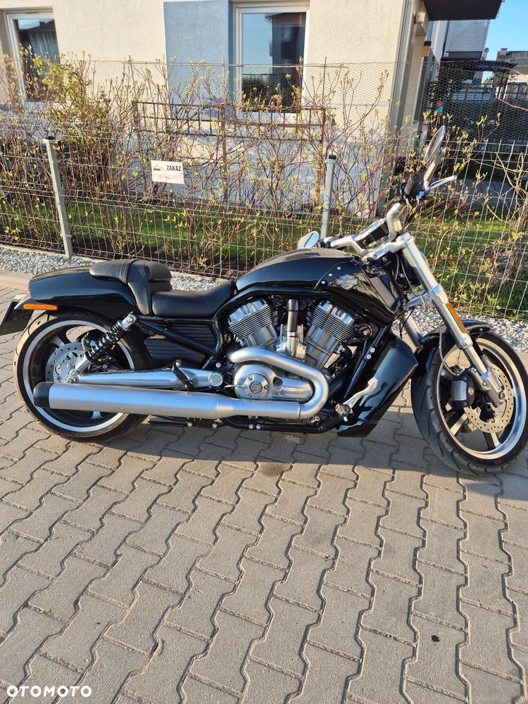 Harley-Davidson V-Rod Muscle - 4