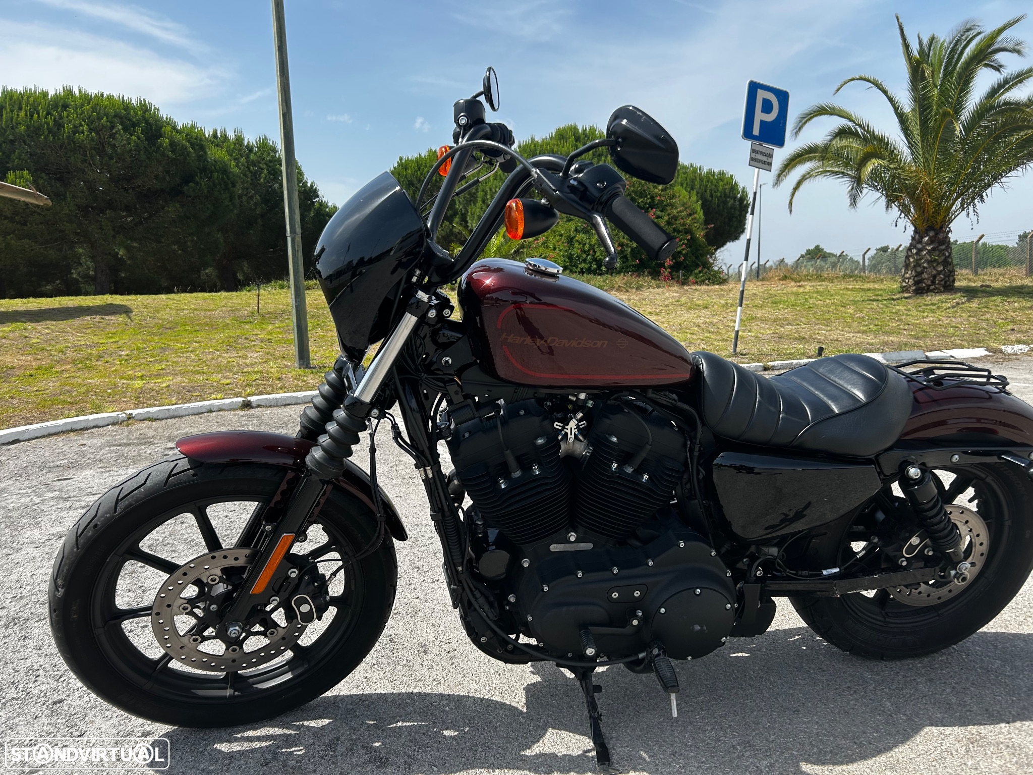 Harley-Davidson Sportster 1200 Iron 2018 - 8