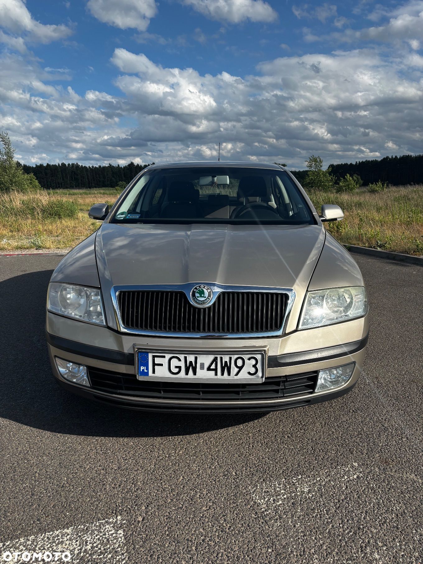 Skoda Octavia - 1