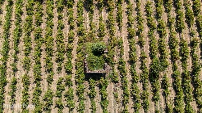 Terreno Rústico com 35.880m² em Sobral Monte Agraço - Grande imagem: 2/7