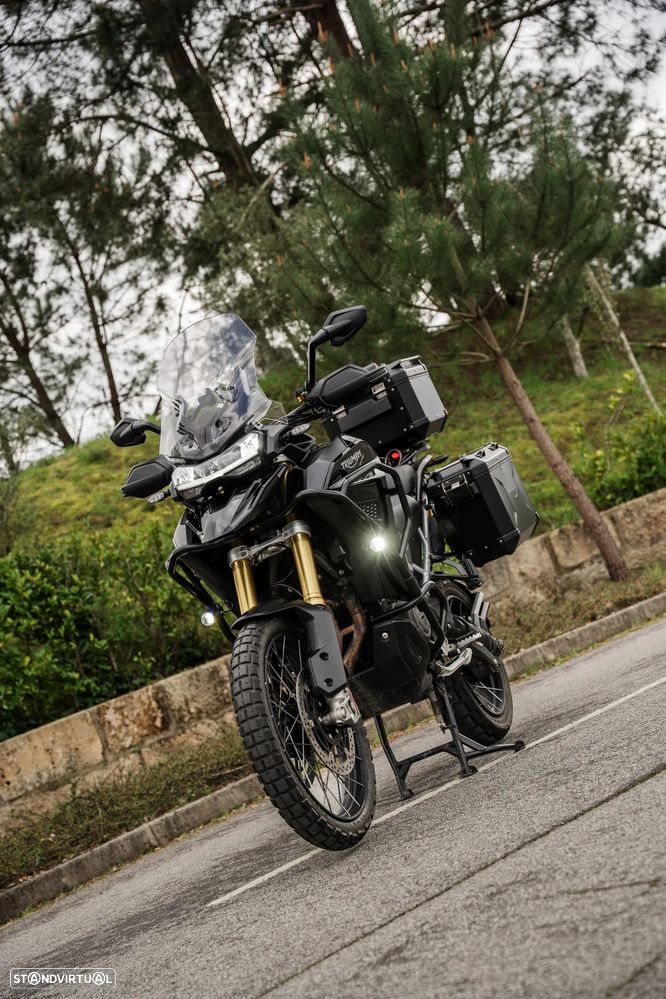 Triumph Tiger RALLY EXPLORER - 3