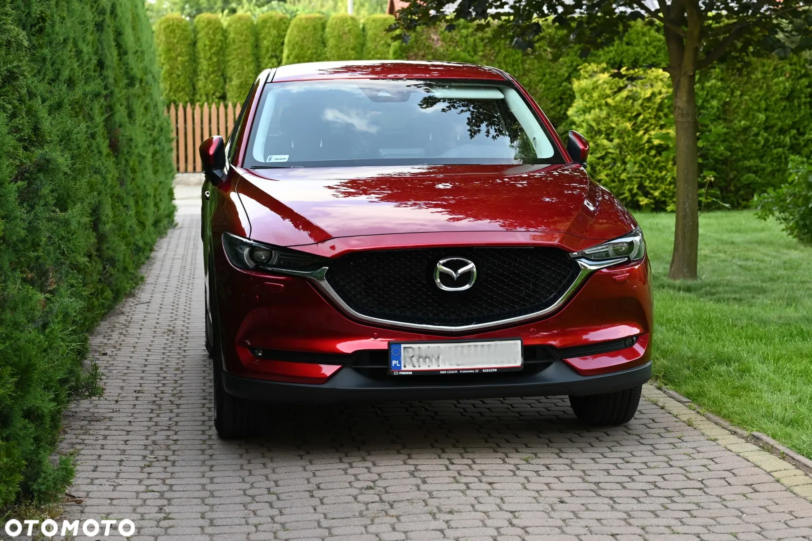 Mazda CX-5 2.0 Skyenergy AWD - 2