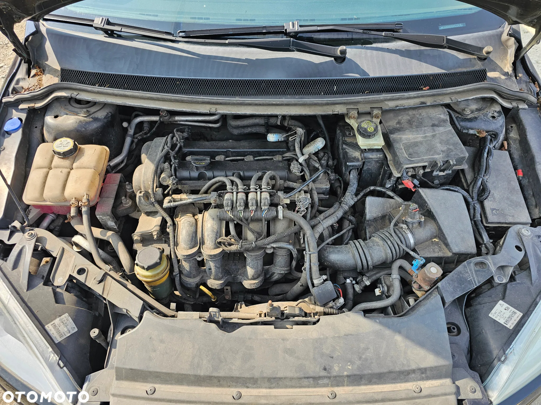 Ford Focus 1.8 Trend - 18