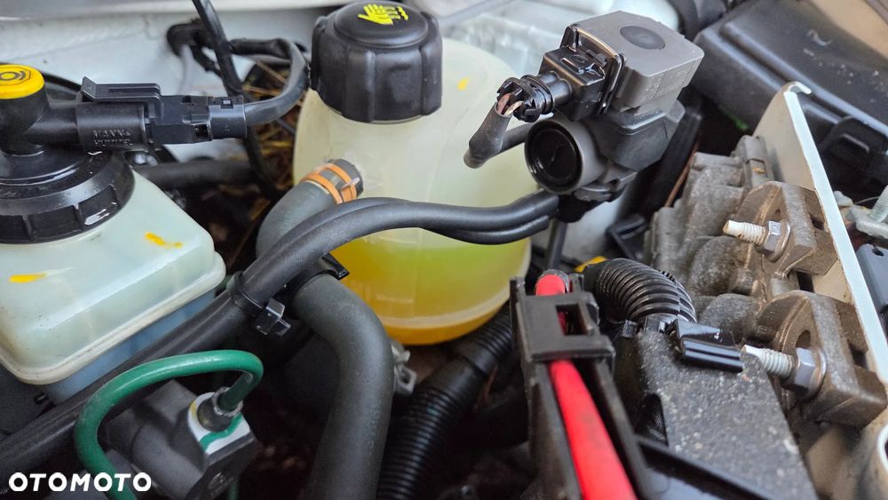 Dacia Duster dCi 110 FAP 4x4 Prestige - 13