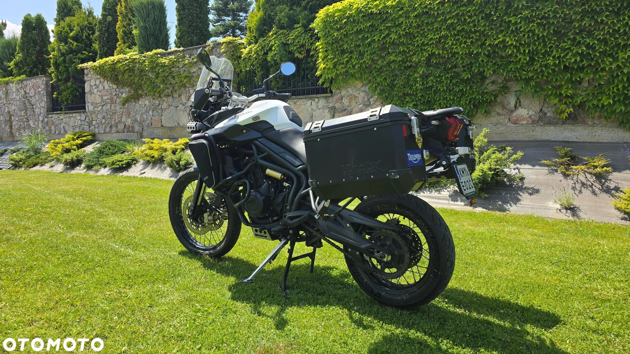 Triumph Tiger - 3