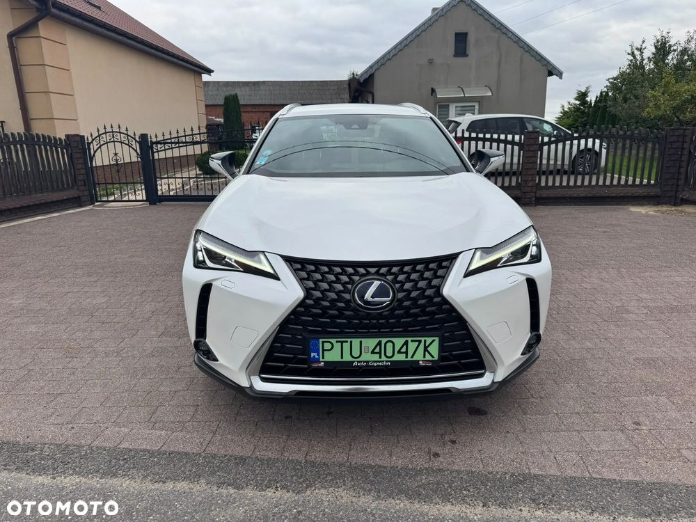 Lexus UX 300e 54.3 kWh Prestige 2WD - 13