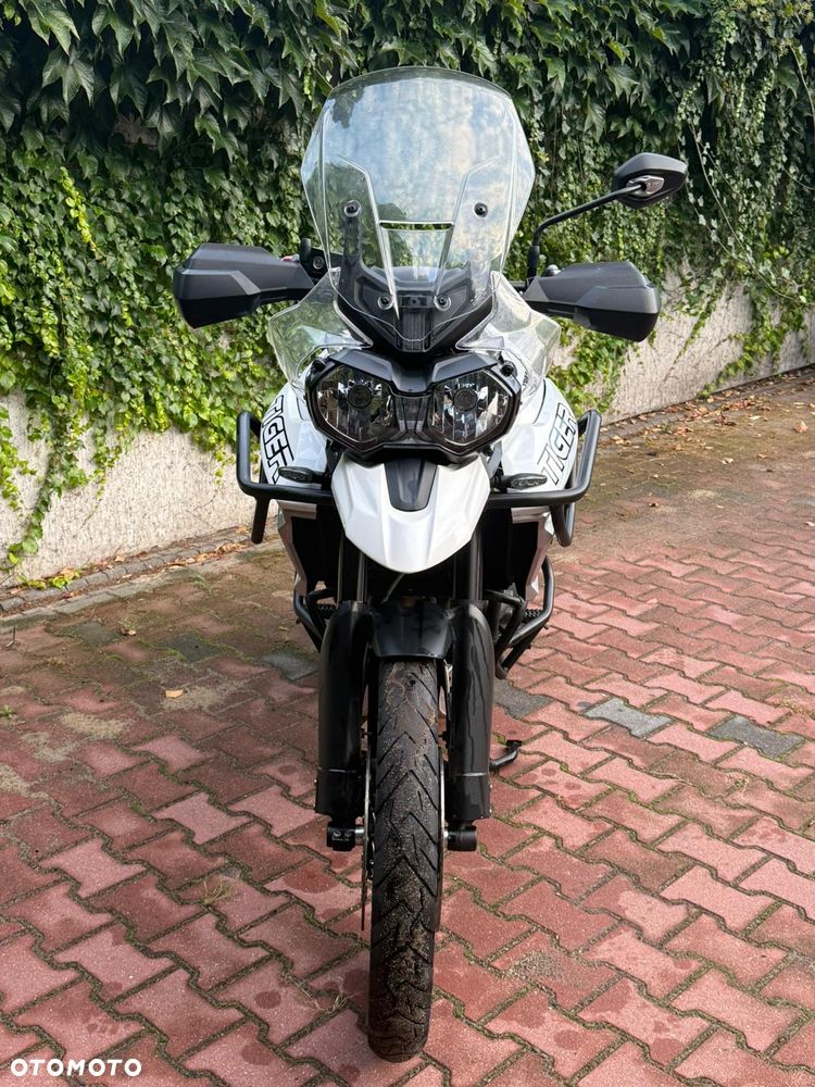 Triumph Tiger - 4