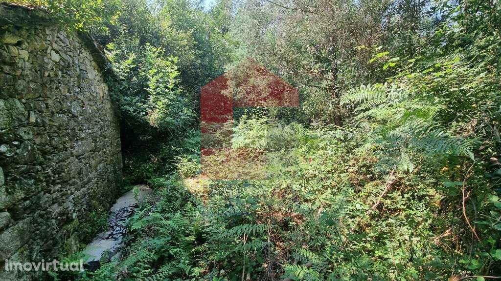 Moinho Paredes de Coura - Grande imagem: 2/14