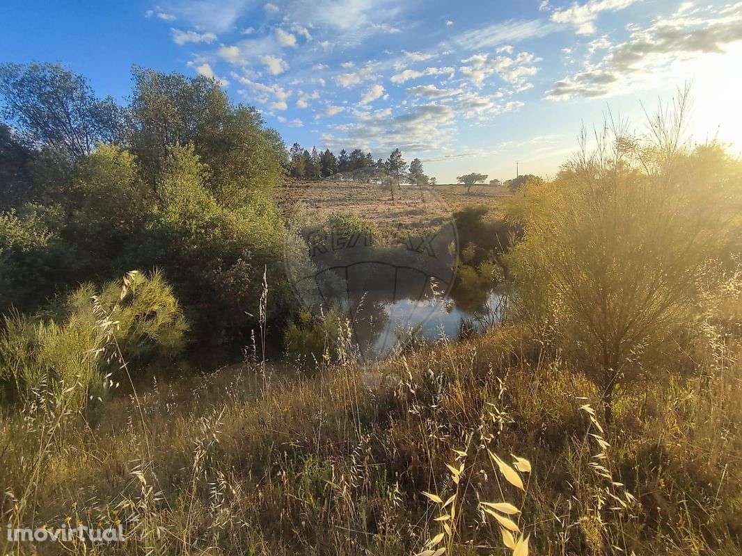 Quinta  para venda - Grande imagem: 5/43