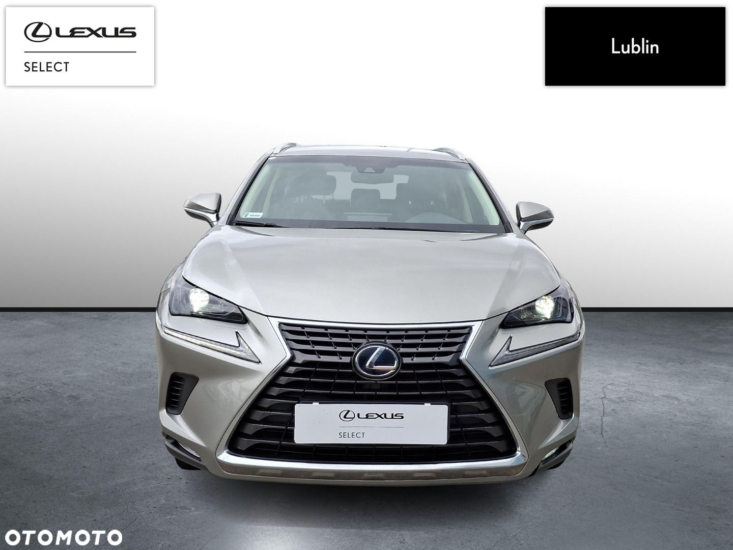 Lexus NX - 8