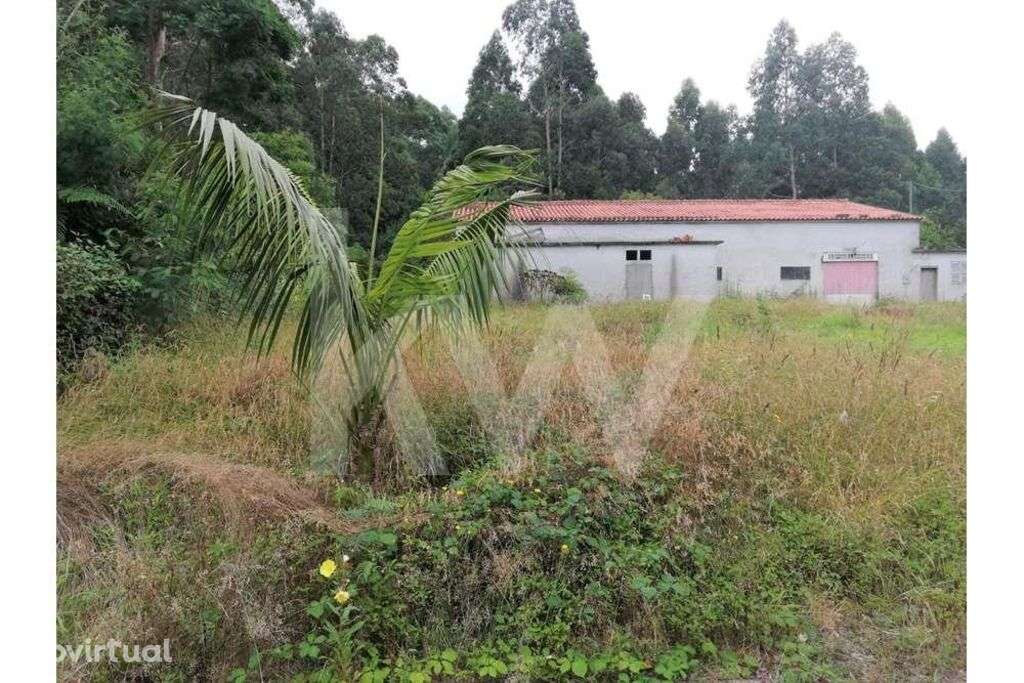 Terreno + Armazém  com 3030 m2, Localizado em Santana, Freguesia de S. - Grande imagem: 2/29