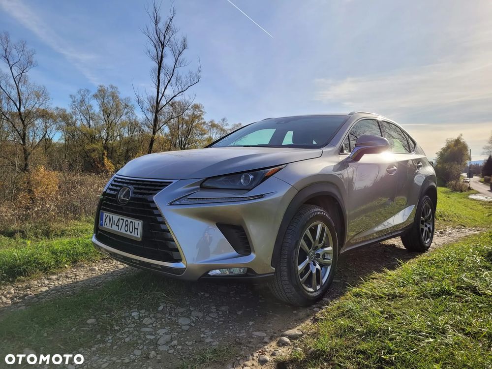 Lexus NX 300h Business Edition - 2