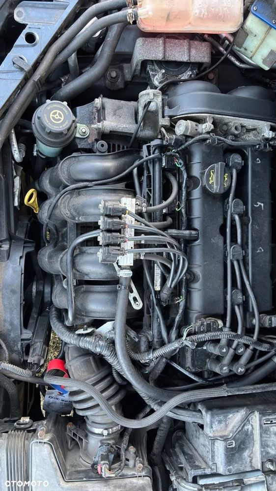 Ford Focus SW - 9