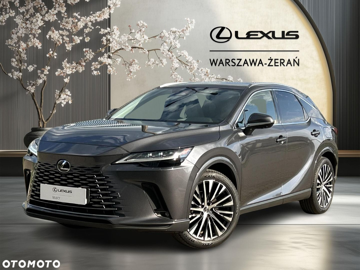 Lexus RX - 2