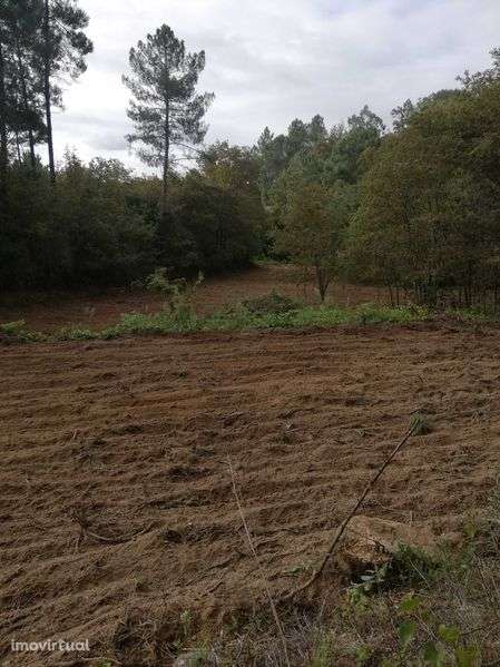 Imperdível: Terreno c/1,7ha contato com a natureza. ate final Agosto - Grande imagem: 4/11