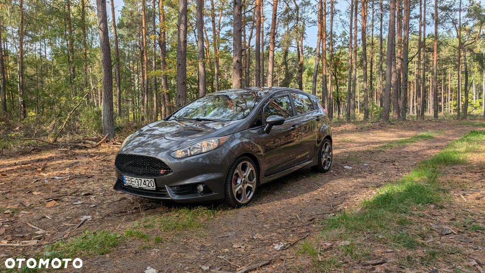 Ford Fiesta 1.6 EcoBoost ST200 - 15