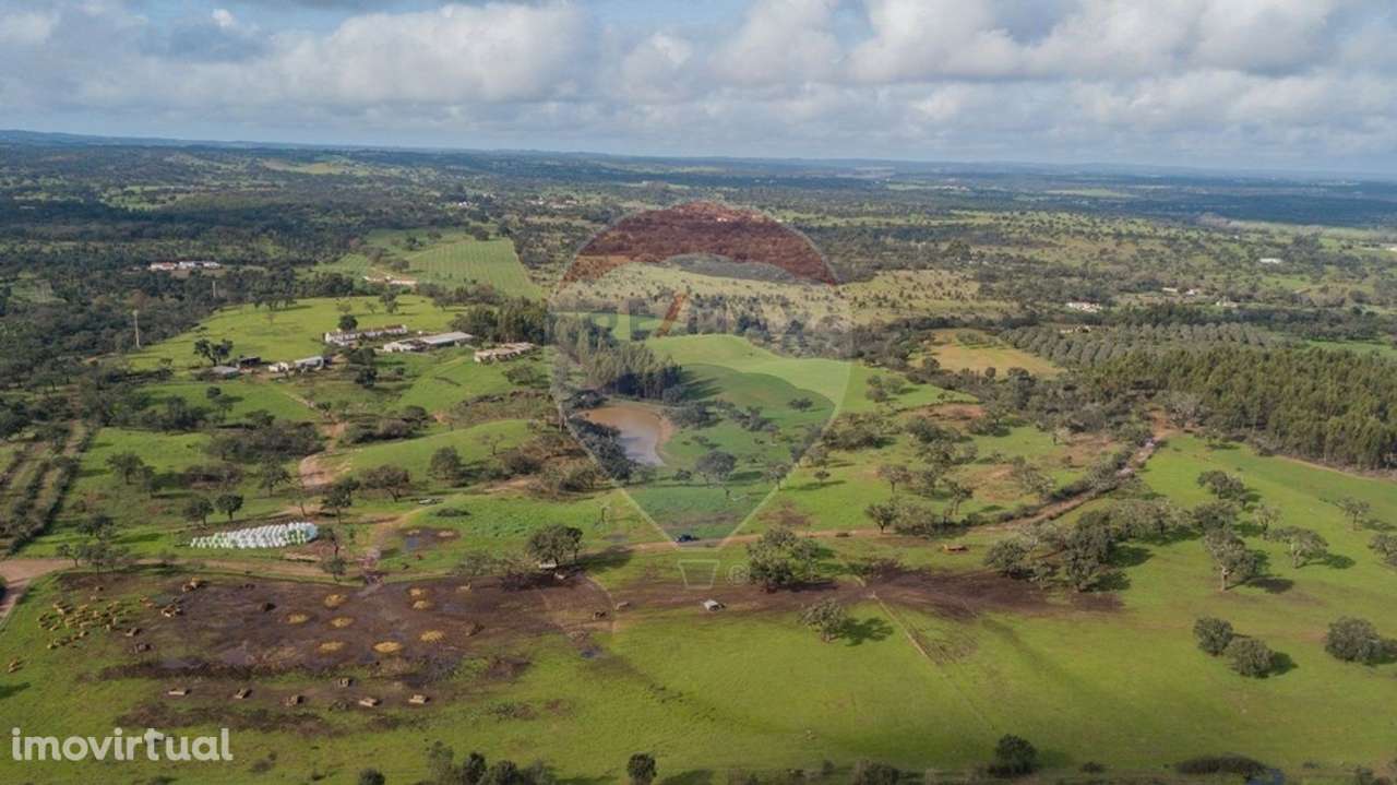Quinta T3 para venda - Grande imagem: 5/31