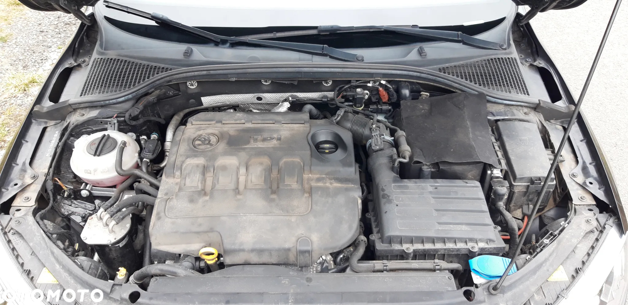 Skoda Octavia 1.6 TDI (Green tec) Ambition - 24