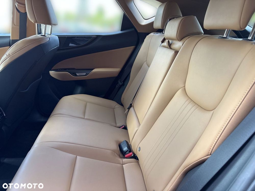 Lexus NX - 16