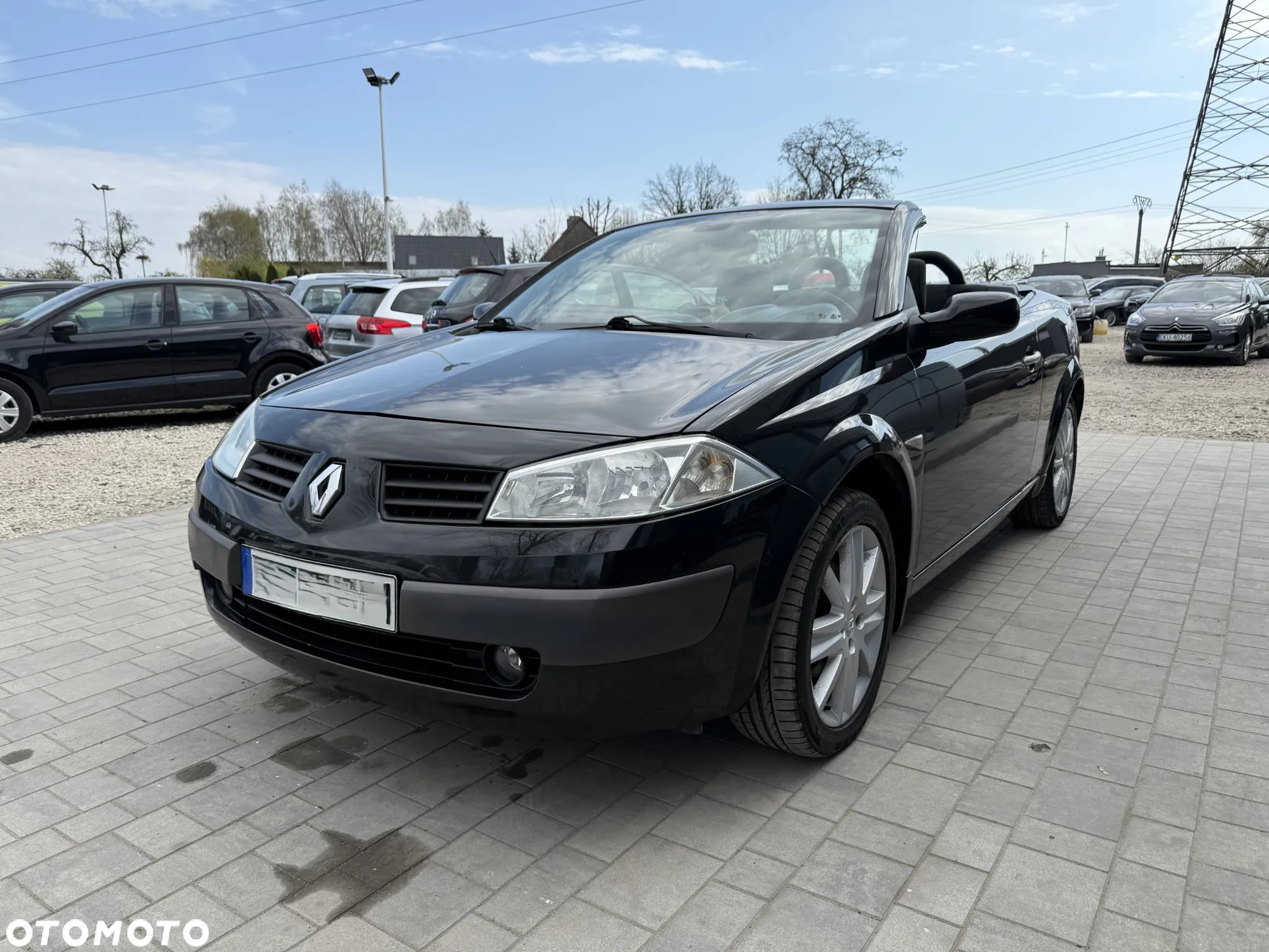 Renault Megane II 2.0 Luxe Privilege - 12