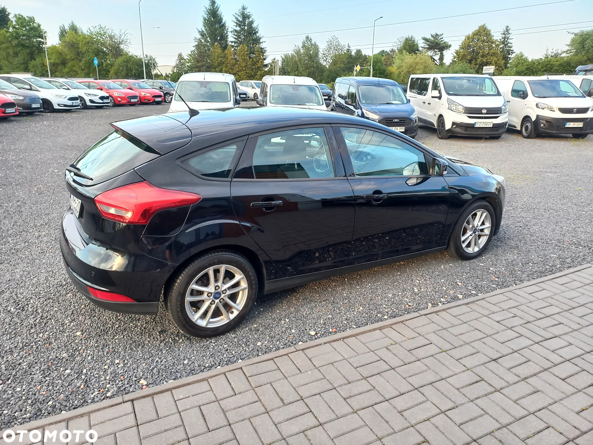 Ford Focus - 7
