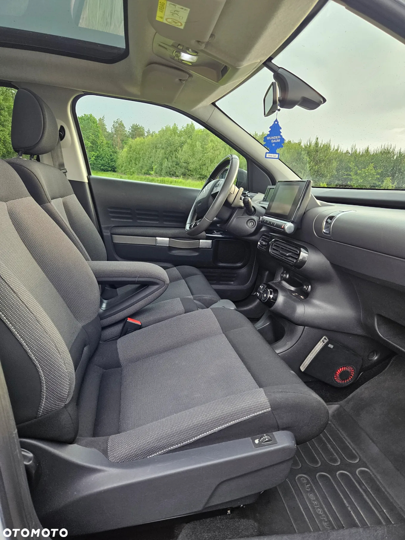 Citroën C4 Cactus - 9