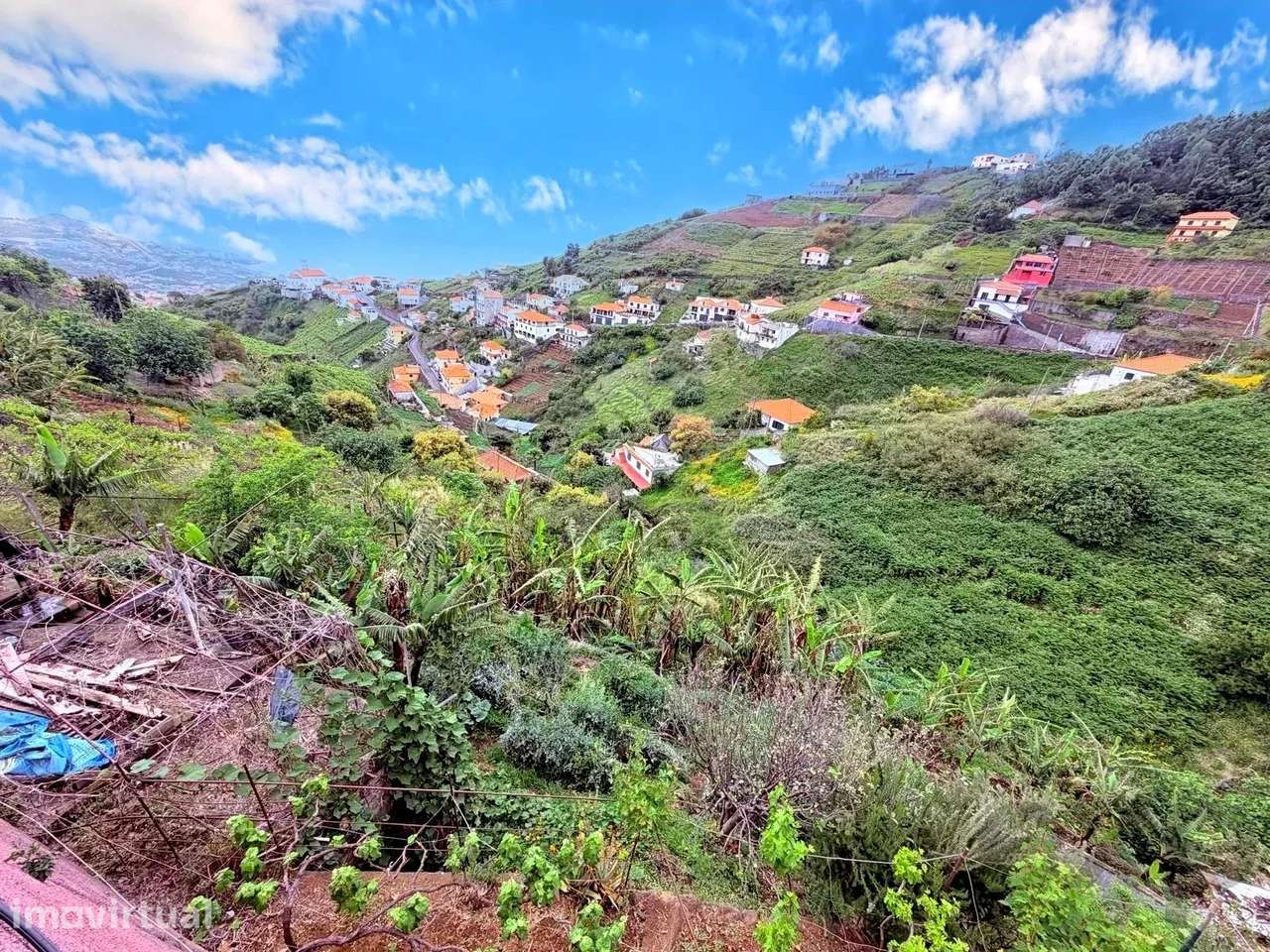 Terreno com Vista Mar - Estreito de Câmara de Lobos - Grande imagem: 5/11