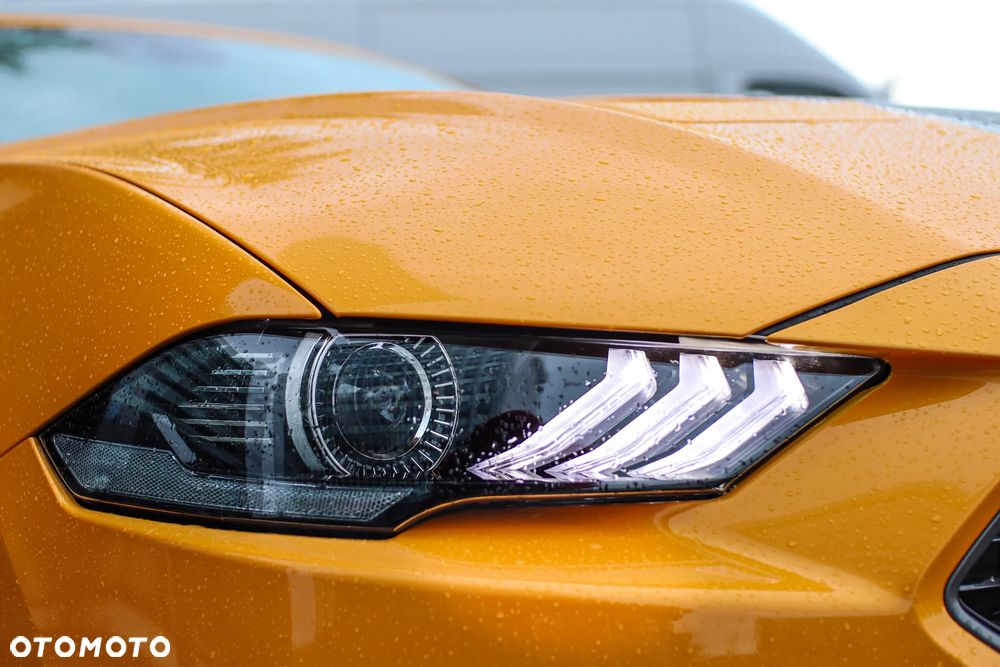 Ford Mustang 5.0 V8 Mach 1 - 8