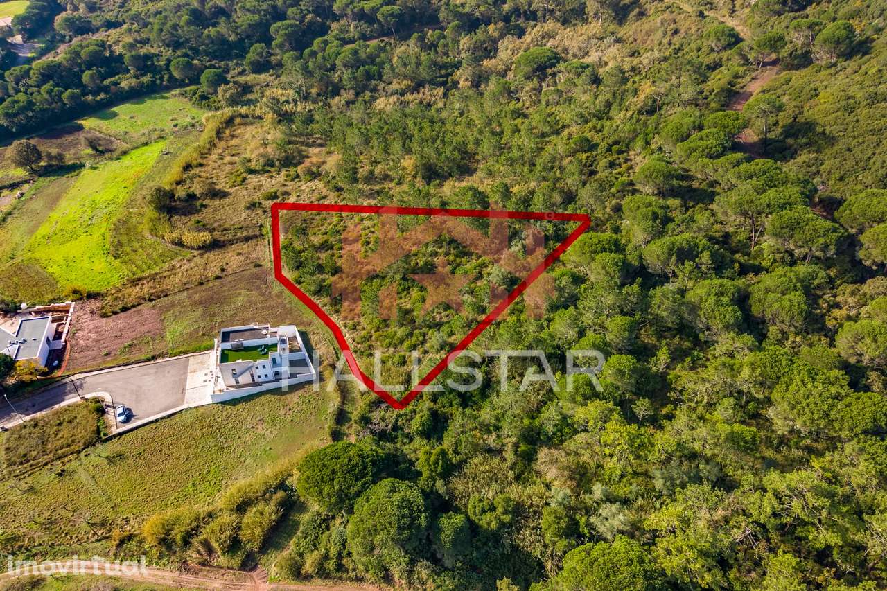 Terreno Exclusivo / Vistas Amplas / Famalicão - Grande imagem: 3/23