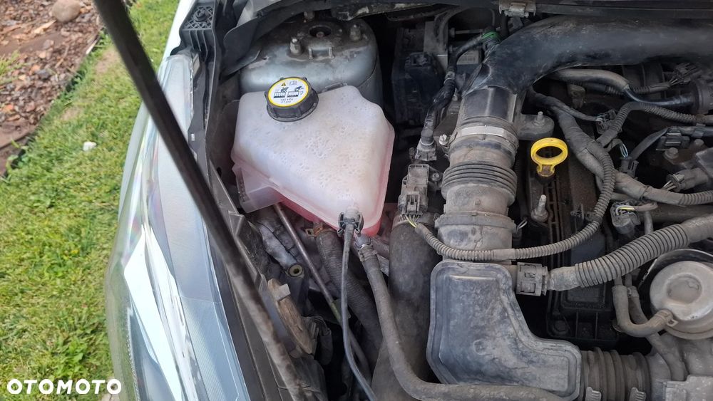Ford Fiesta - 38