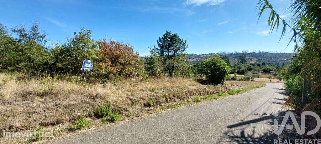 Terreno T3 em Colmeias e Memória de 145,00 m2 - Grande imagem: 2/12